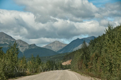 The road ahead
