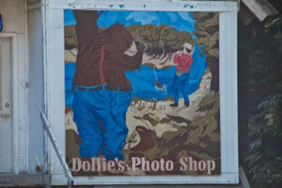 the photographer