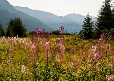 Stewart, CA