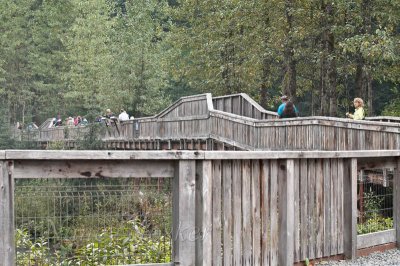 Viewing platform