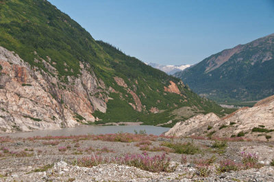 Salmon Glacier - Hyder
