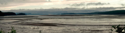 Panoramas