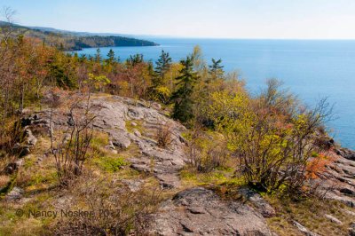 5-9-12-Palisade Head