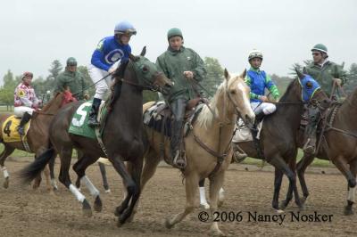 Post parade 2