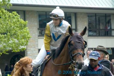Riders up 2
