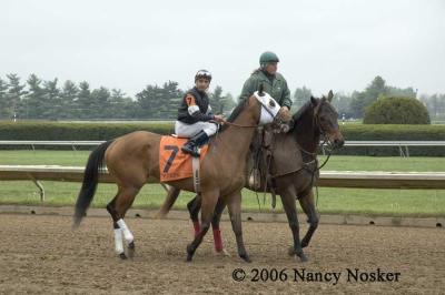 Post parade 3