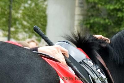 Jockey hands