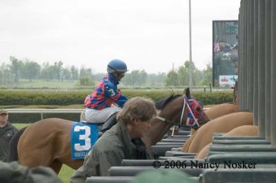 Loading the starting gate 1