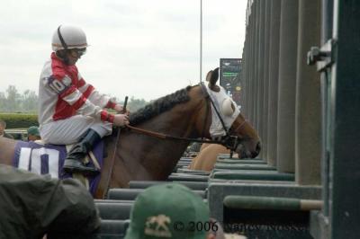 Loading the starting gate 2