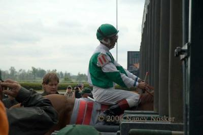 Loading the starting gate 3