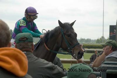 Loading the starting gate 4
