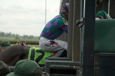 Loading the starting gate 5