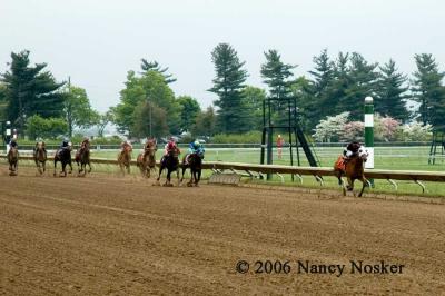 Down the home stretch 2