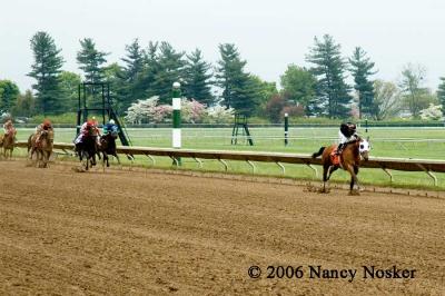 Down the home  stretch 3