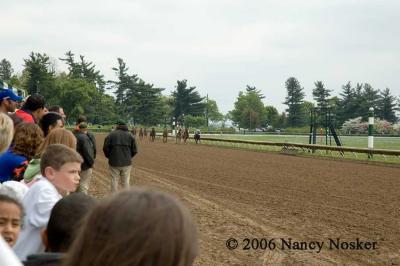 Down the  home stretch 1