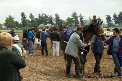 After the race 1