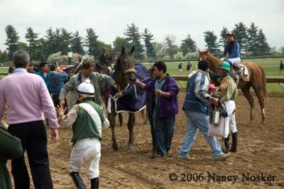 After the race 2