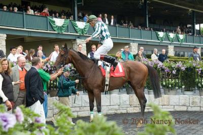 The winner's circle 2