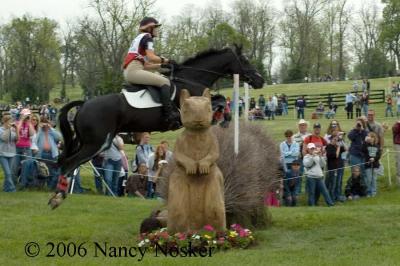 DSC_7638- jump = Sunken road-