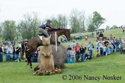 DSC_7643- jump = Sunken road-