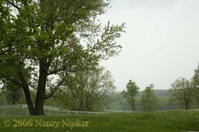 DSC_6875-