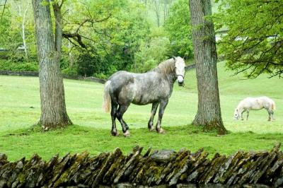 Shaker Village at Pleasant Hill, KY
