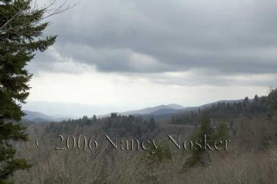 DSC_5784-