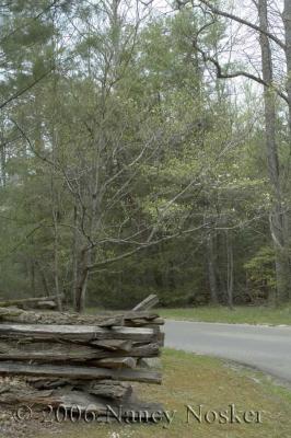 Cades Cove
