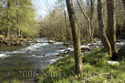 DSC_5765-Little River