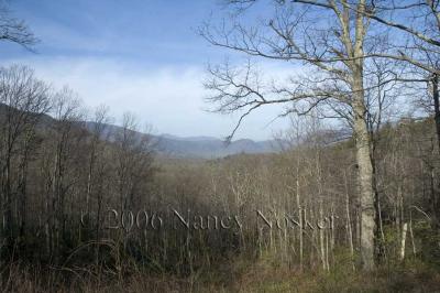 Roaring Fork Nature Trail