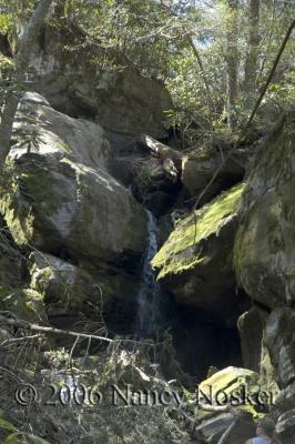 Roaring Fork Nature Trail