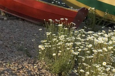 MIscellanous boats