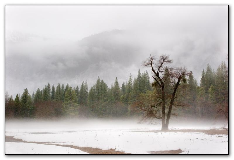 <b>5th Place</b><br><i>winter mists (*)</i><br>by Michael Puff
