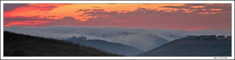 The Fog