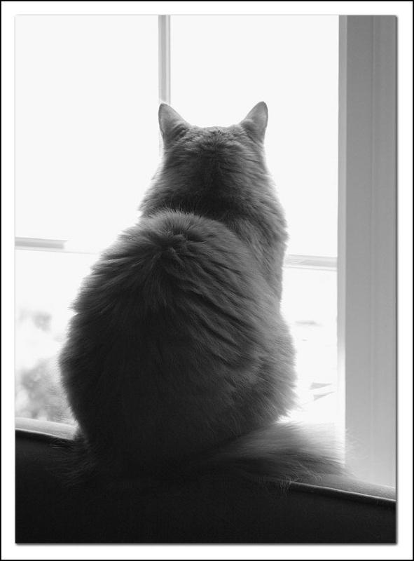 Out There, Somewhere *