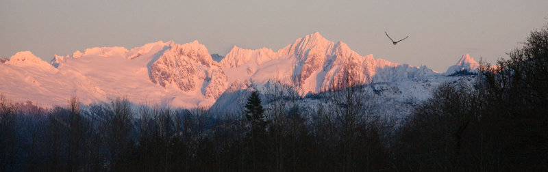 Eagle Country