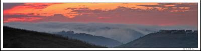 The Fog