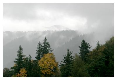 Misty Mountain Hop (*)