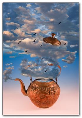 <b>8th Place</b><br><i>tempest in a teapot (*)</i><br>by Michael Puff