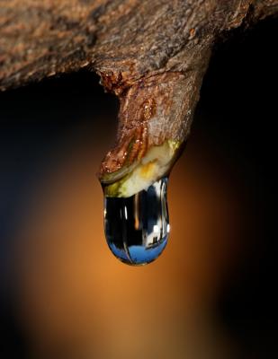 Simple drop of water