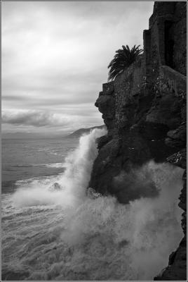 Ligurian Coast*