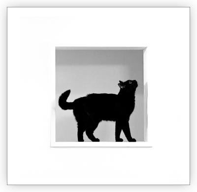 <b>6th Place</b><br>black framed in white<br>by Arn
