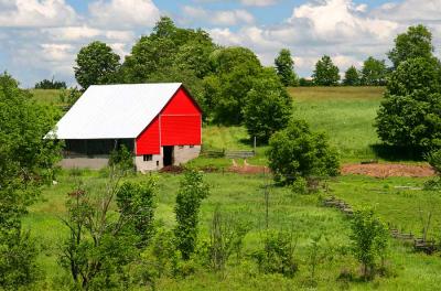 The Red Barn *