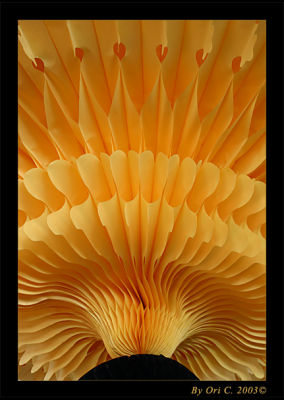 Lantern (*)