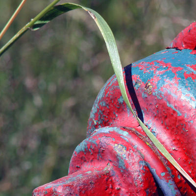 Blade of Grass at Rest *
