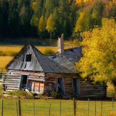 Nobody Home