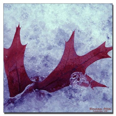 thin ice (#2)