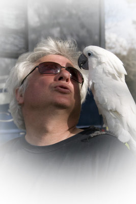 Guy George and Chip