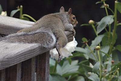 Time Out