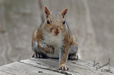 Who, Me?